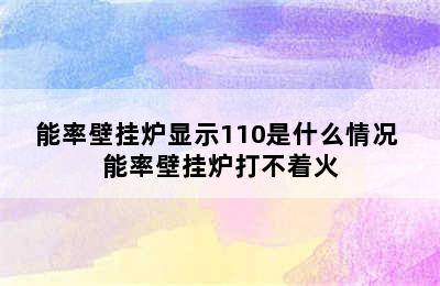 能率壁挂炉显示110是什么情况 能率壁挂炉打不着火